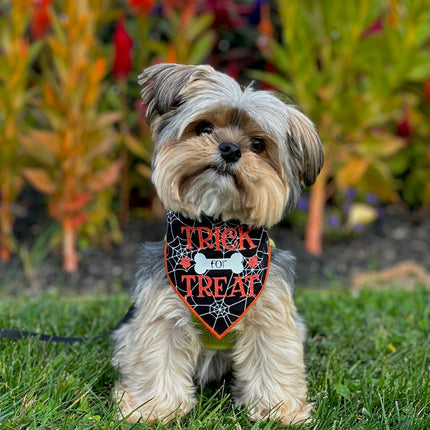 Trick for Treat Halloween Dog Bandana