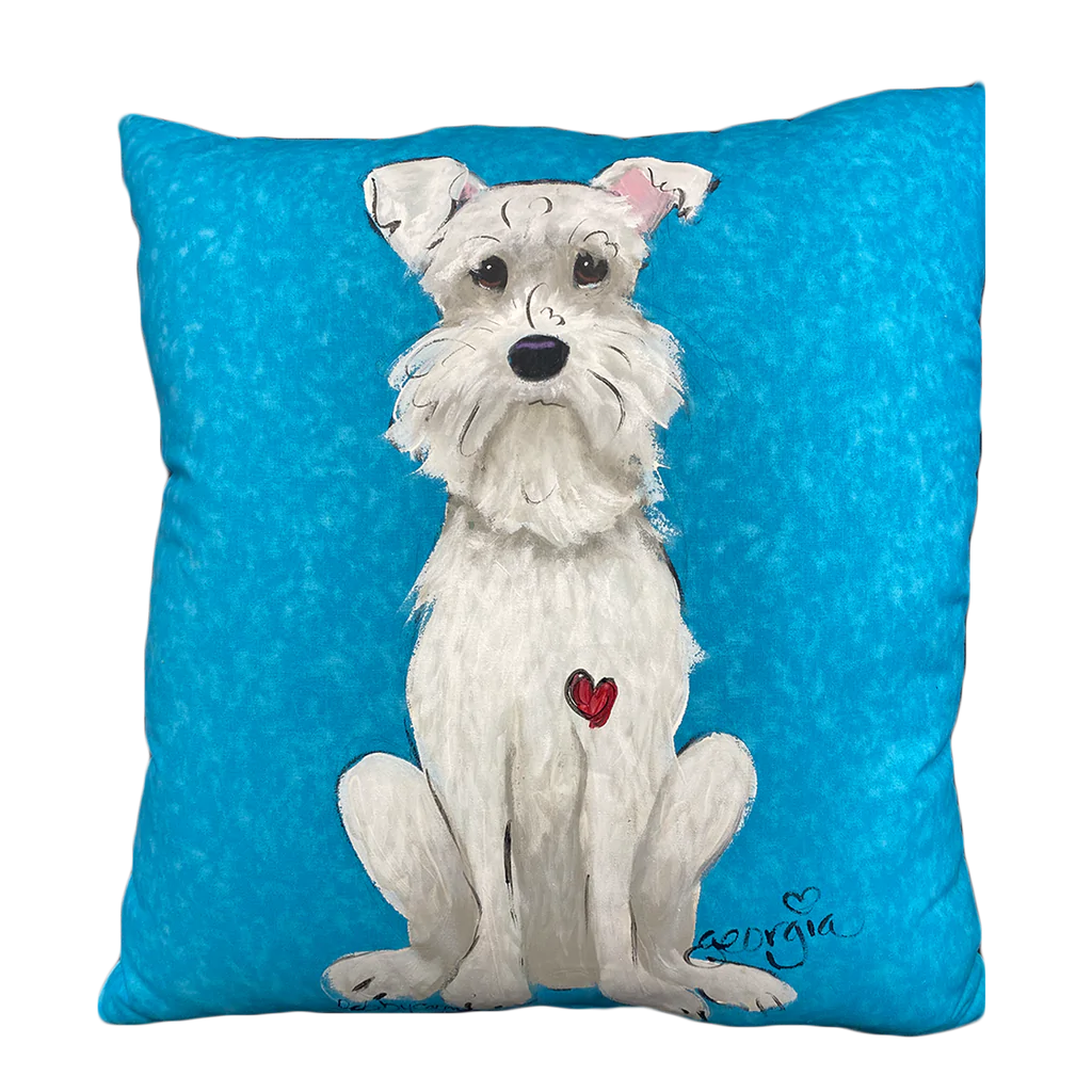 Turquoise Pet Pillow