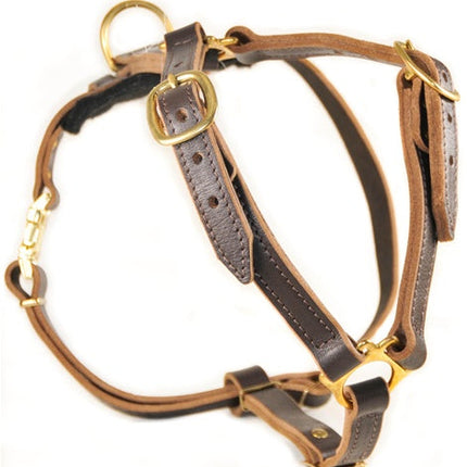 Tyler's Choice Harness