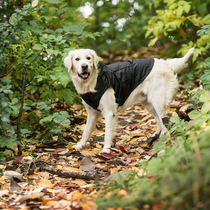 US Army Packable Dog Raincoat - Black