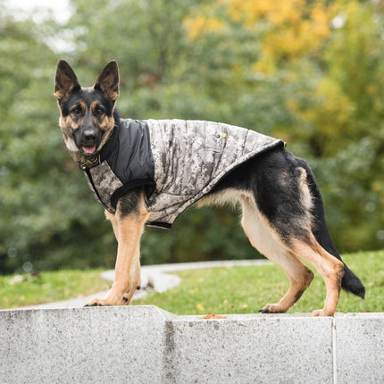 US Army Dog Jacket - Camo