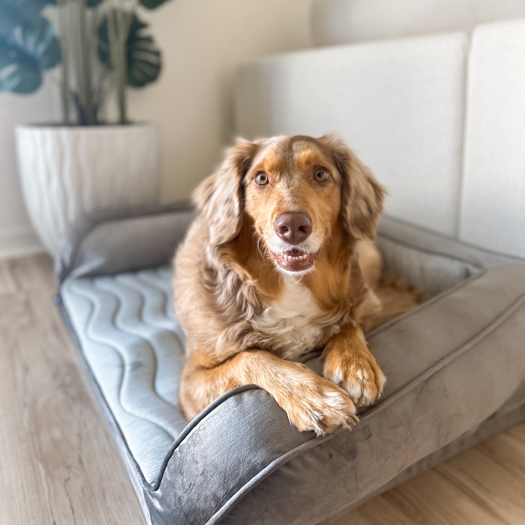 PupChill Cooling Bolster Dog Bed