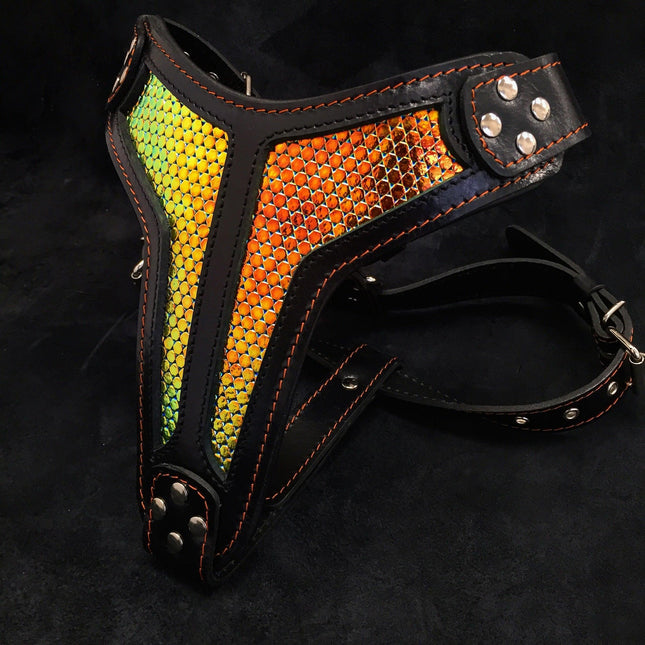 The ''D`Albertis'' harness LIMITED