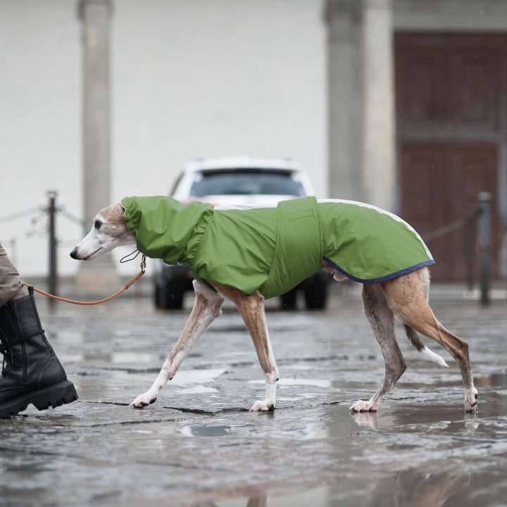 Sketches Raincoat for Greyhounds Green