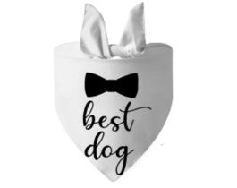 Best Dog Bandana - White