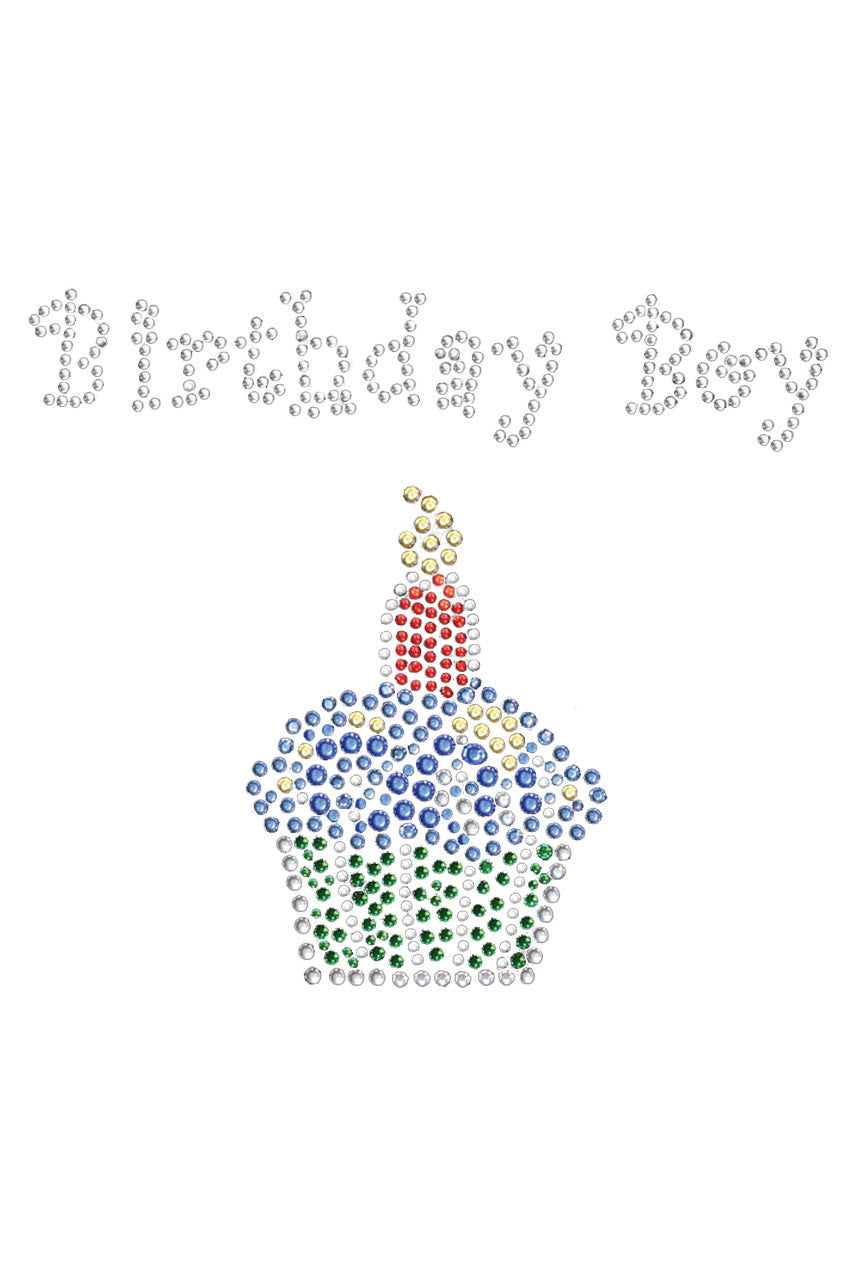 Birthday Boy - Bandana