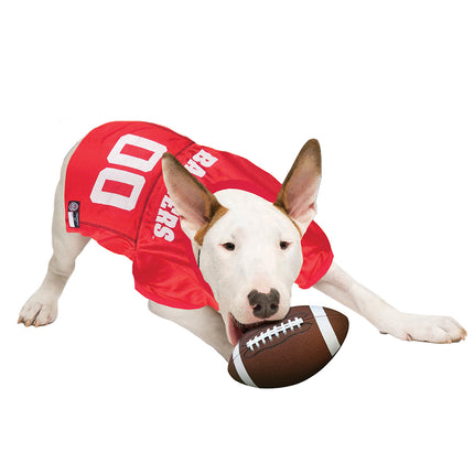 Wisconsin Dog Jersey