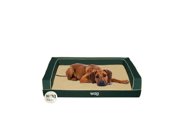 Wag Dog Bed in Pine Green