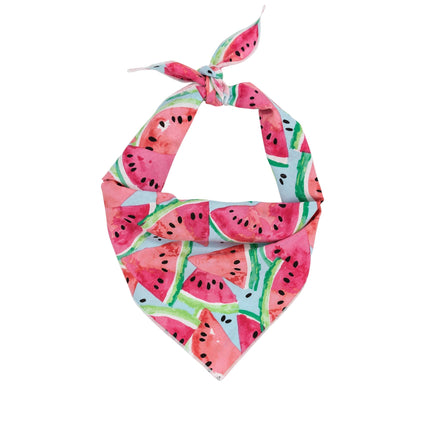 Watermelon Dog Bandana