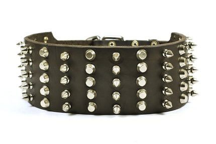 Wide Heaven Collar 2 3/4" Width