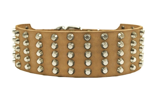 Wide Stud Collar 2 3/4