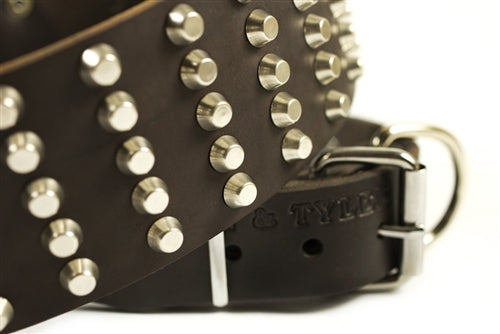 Wide Stud Collar 2 3/4