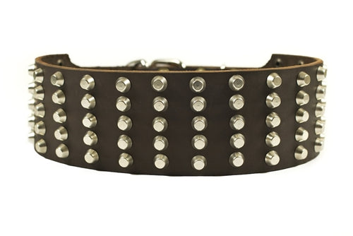 Wide Stud Collar 2 3/4