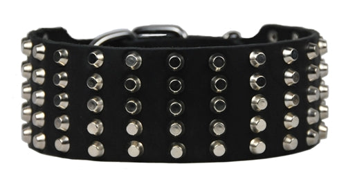 Wide Stud Collar 2 3/4