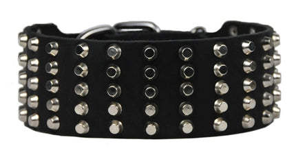 Wide Stud Collar 2 3/4" Width