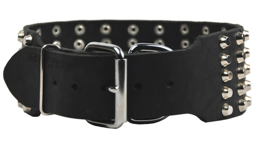 Wide Stud Collar 2 3/4