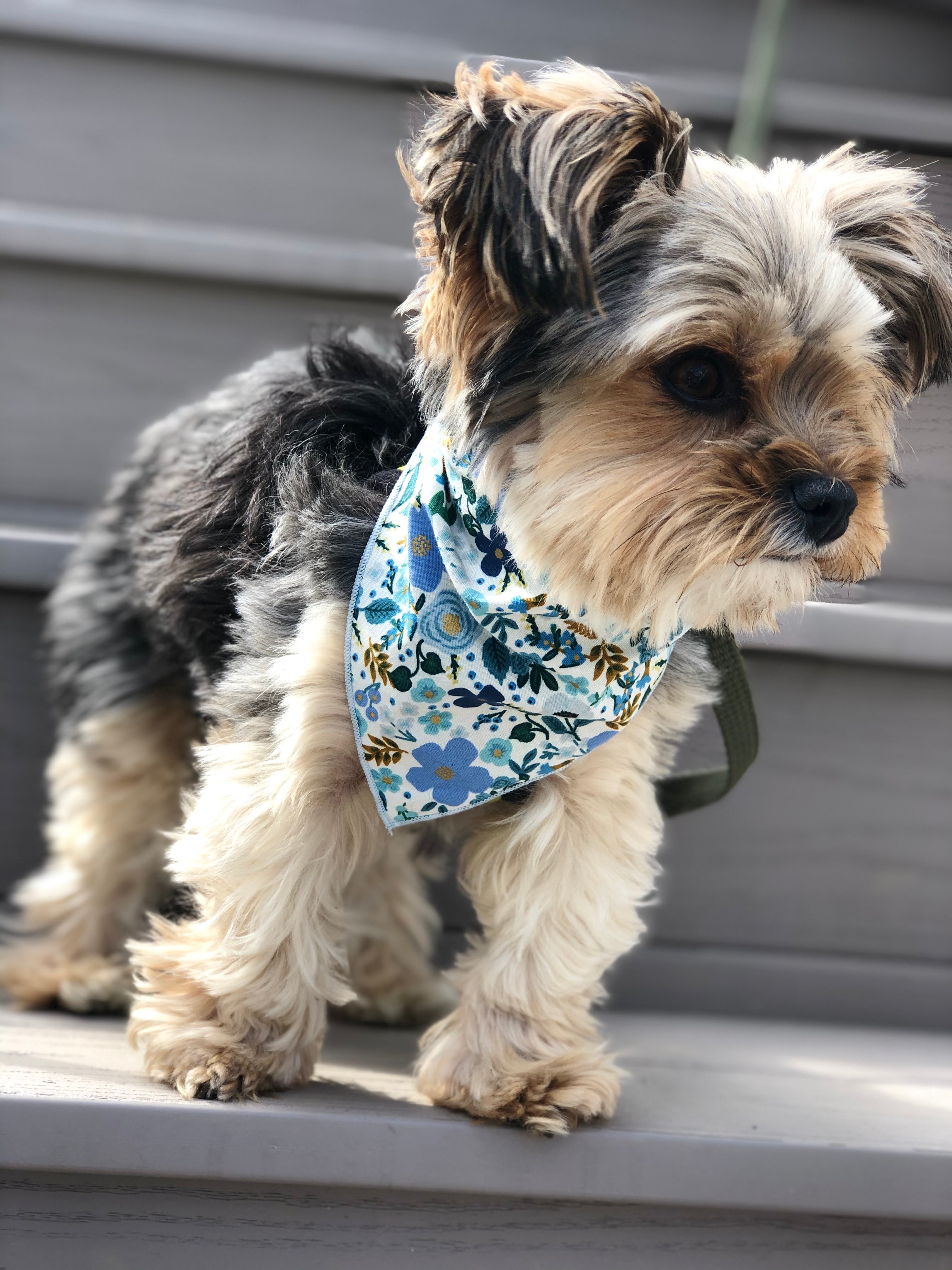 Wild Rose Metallic Dog Bandana