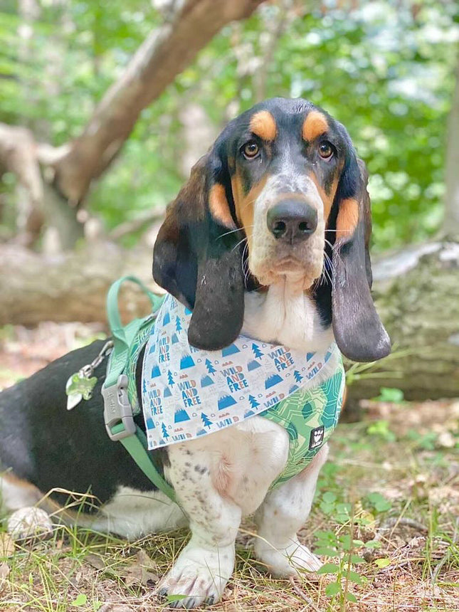 Wild and Free Camping Bandana