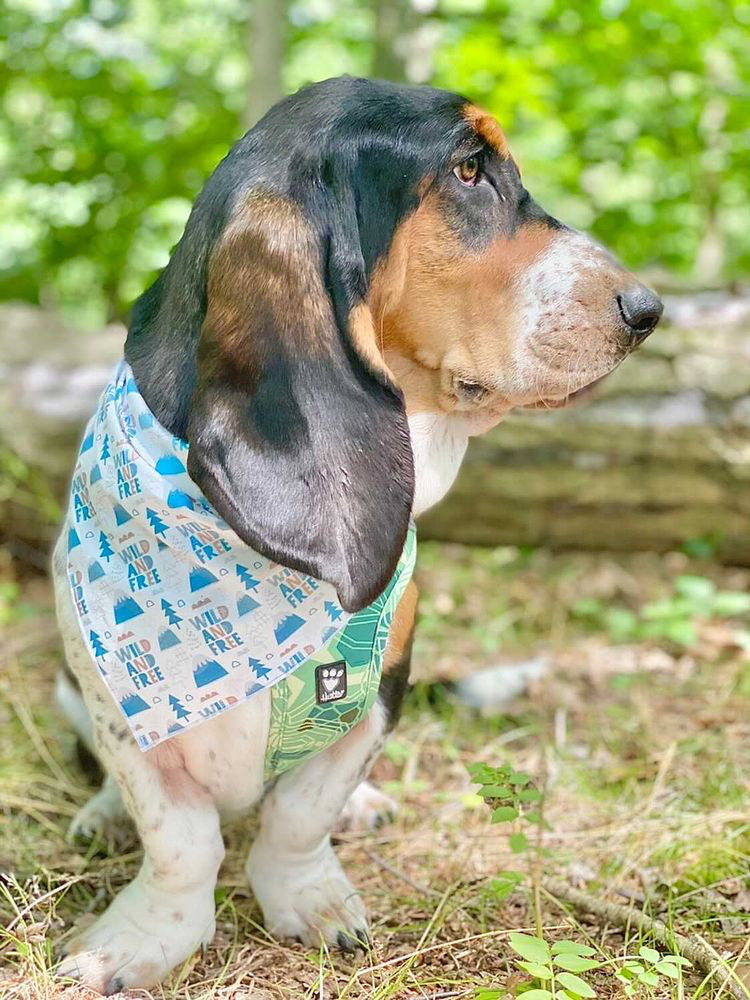 Wild and Free Camping Bandana