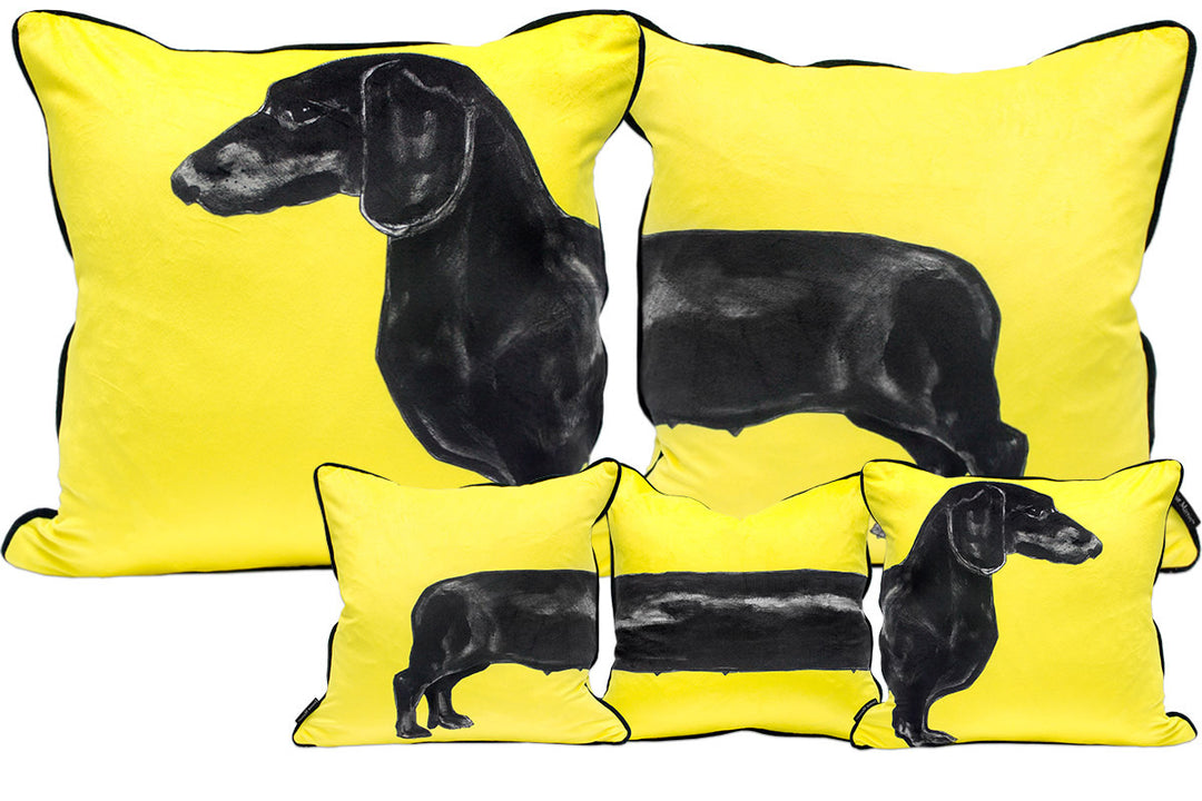 Dachshund Sausage Dog – Yellow Cushions