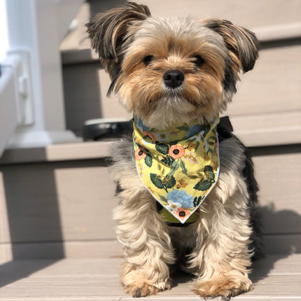 Yellow Flower Dog Bandana