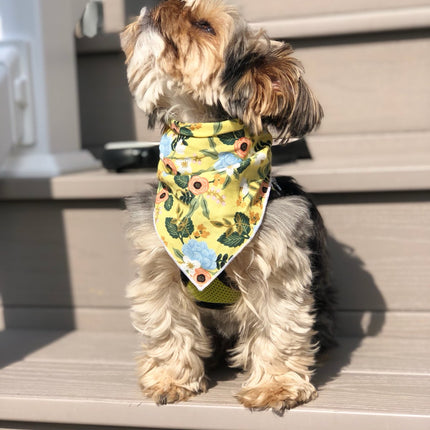 Yellow Flower Dog Bandana