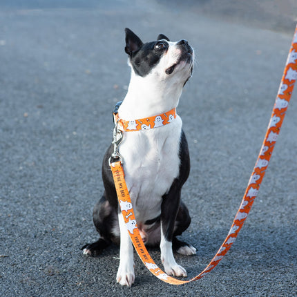 Youre My Boo Printed Dog Collar - Option B | Ghosts