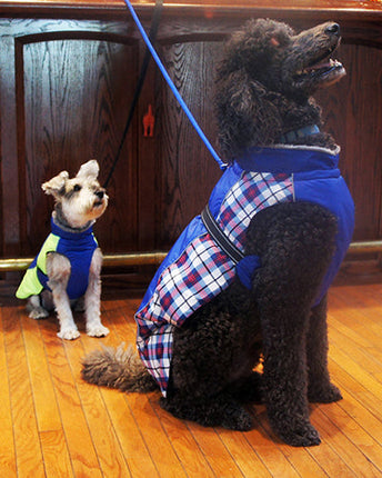 Alpine All-Weather Dog Coat - Royal Blue Plaid