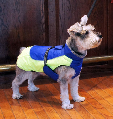 Alpine All-Weather Dog Coat - Royal Blue Plaid