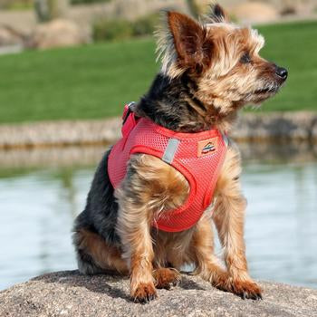 American River Ultra Choke Free Soft Mesh Dog Harness-Corral