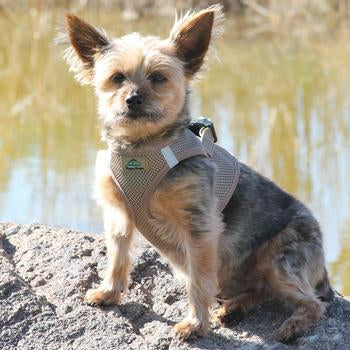 American River Ultra Choke Free Soft Mesh Dog Harness-Fossil Brown
