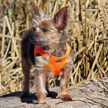 American River Ultra Choke Free Soft Mesh Dog Harness-Fossil Brown