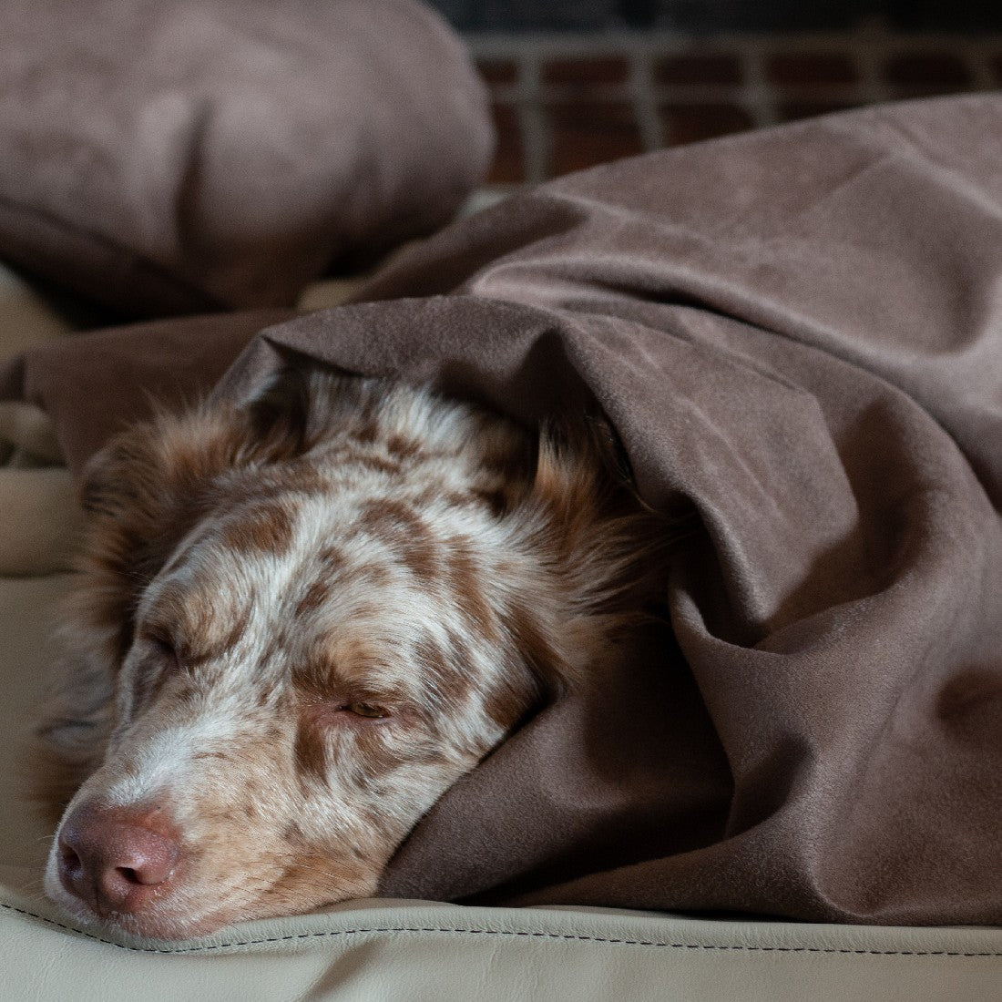 Soothe Anti-Anxiety Weighted Dog Blanket