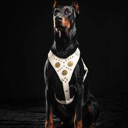 The "Maximus" harness White