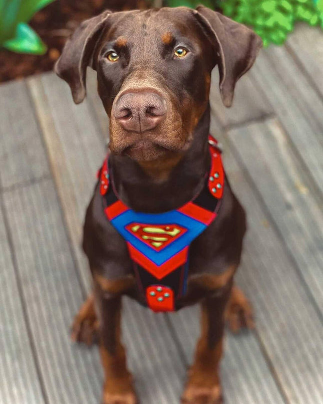 Superdog Harness