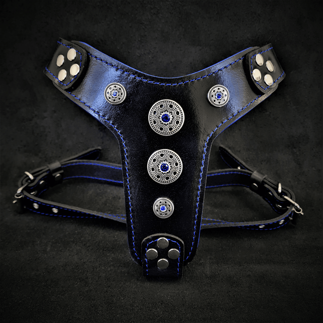 The ''Bijou'' harness Black & Blue Small to Medium Size