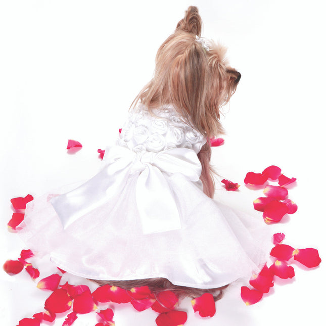 The Bianca Rose Ribbon Dog Dress