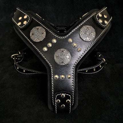 The "Maximus" silver harness