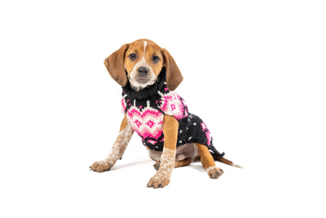 Artic Pink Dog Sweater