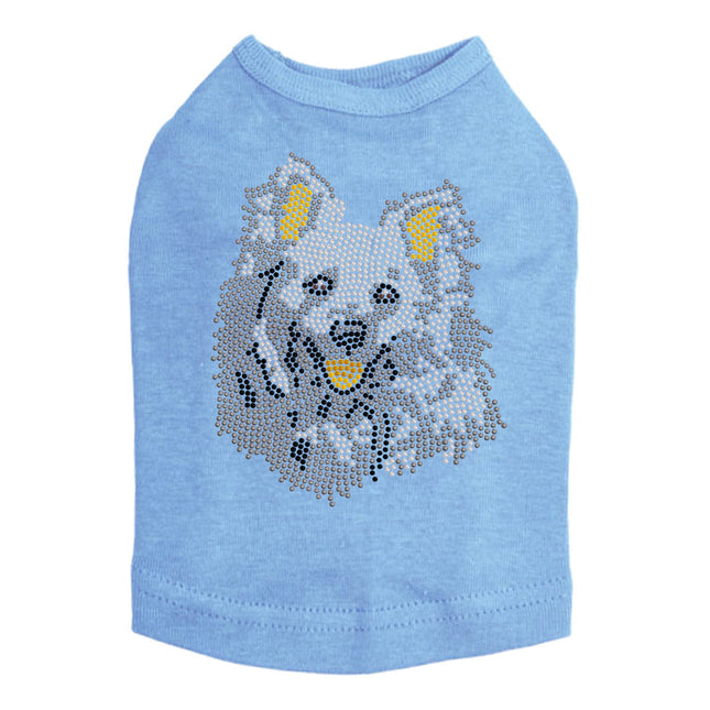 American Eskimo 2 - Dog Tank