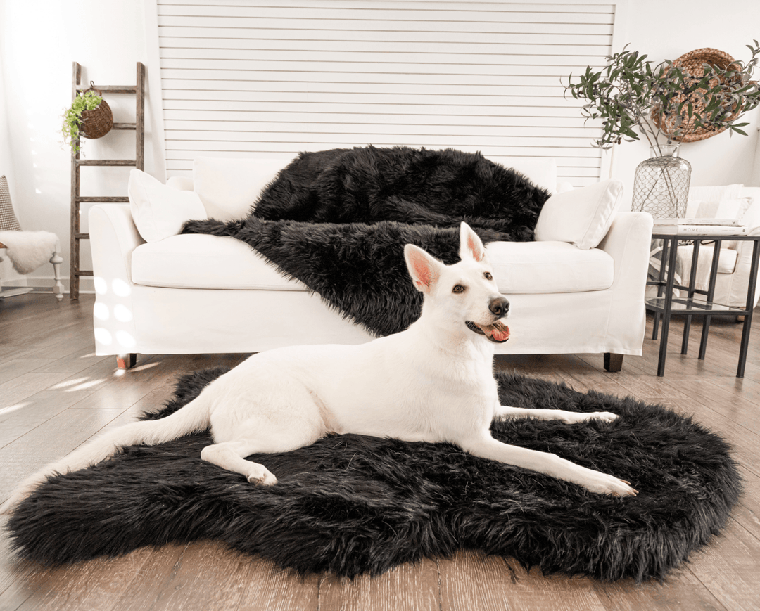 PupRug Faux Fur Orthopedic Dog Bed - Curve Midnight Black