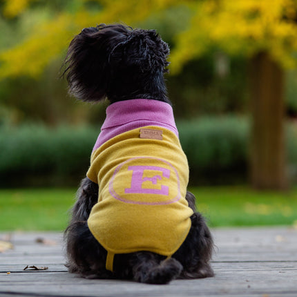 Yellow & Pink Logo