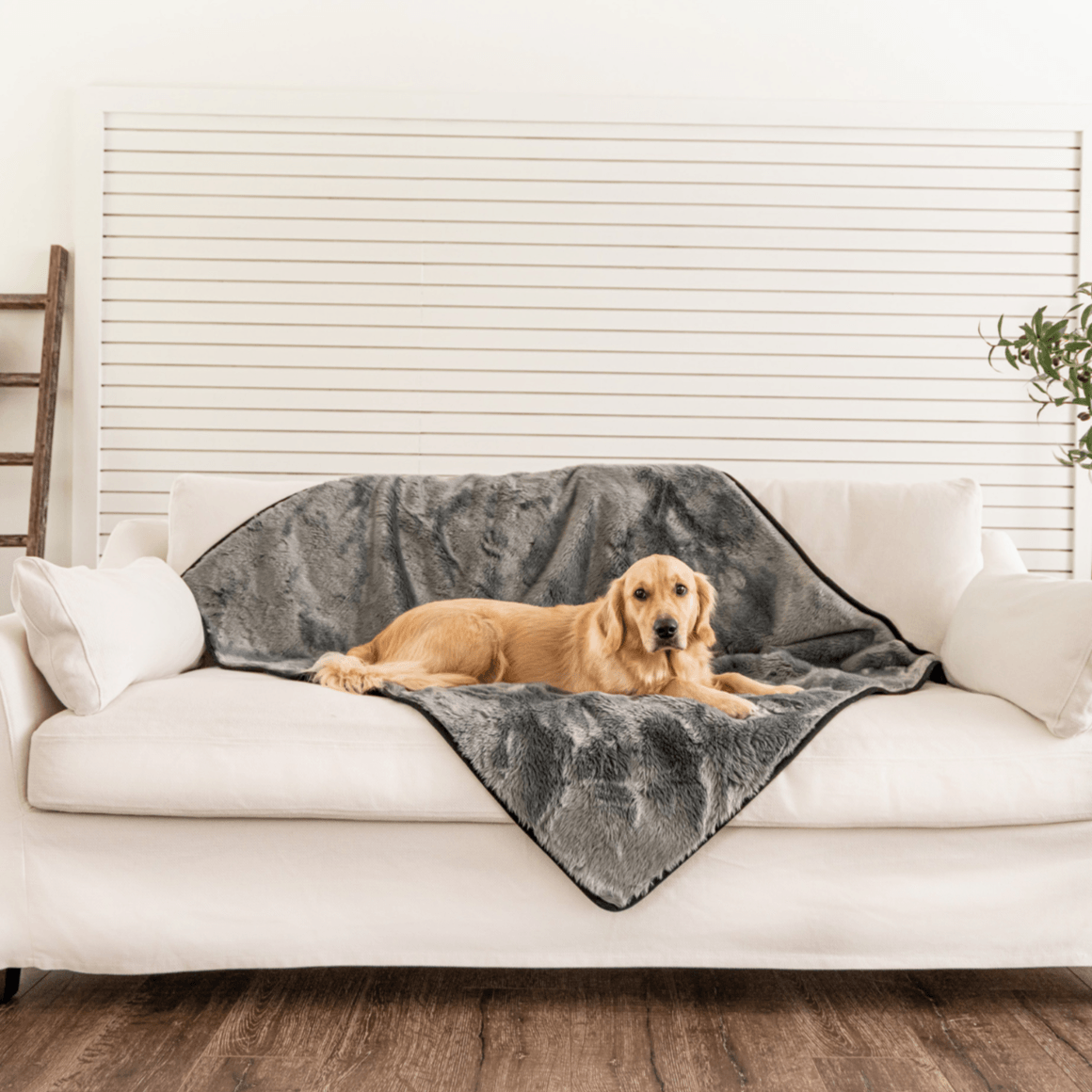 PupProtectorShort Fur Waterproof Throw Blanket - Charcoal Grey