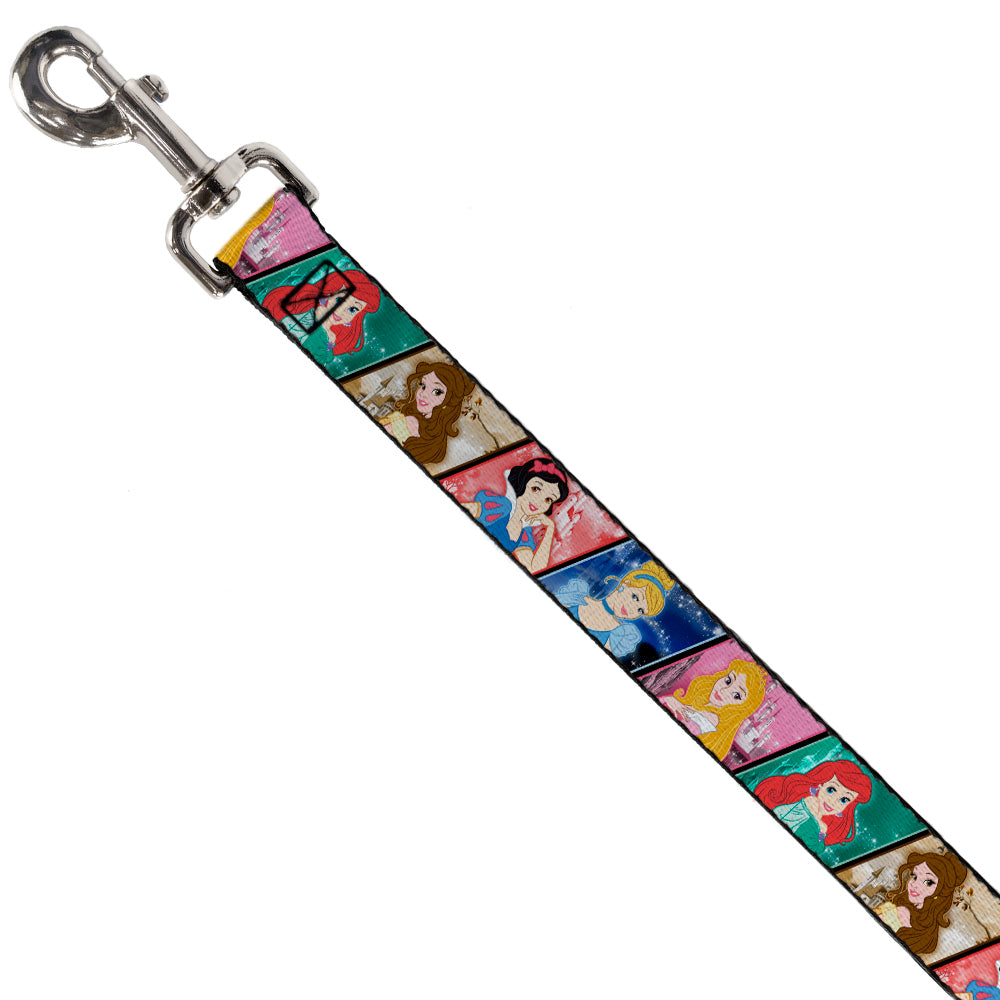 Disney Princess Pet Collar & Leash Set