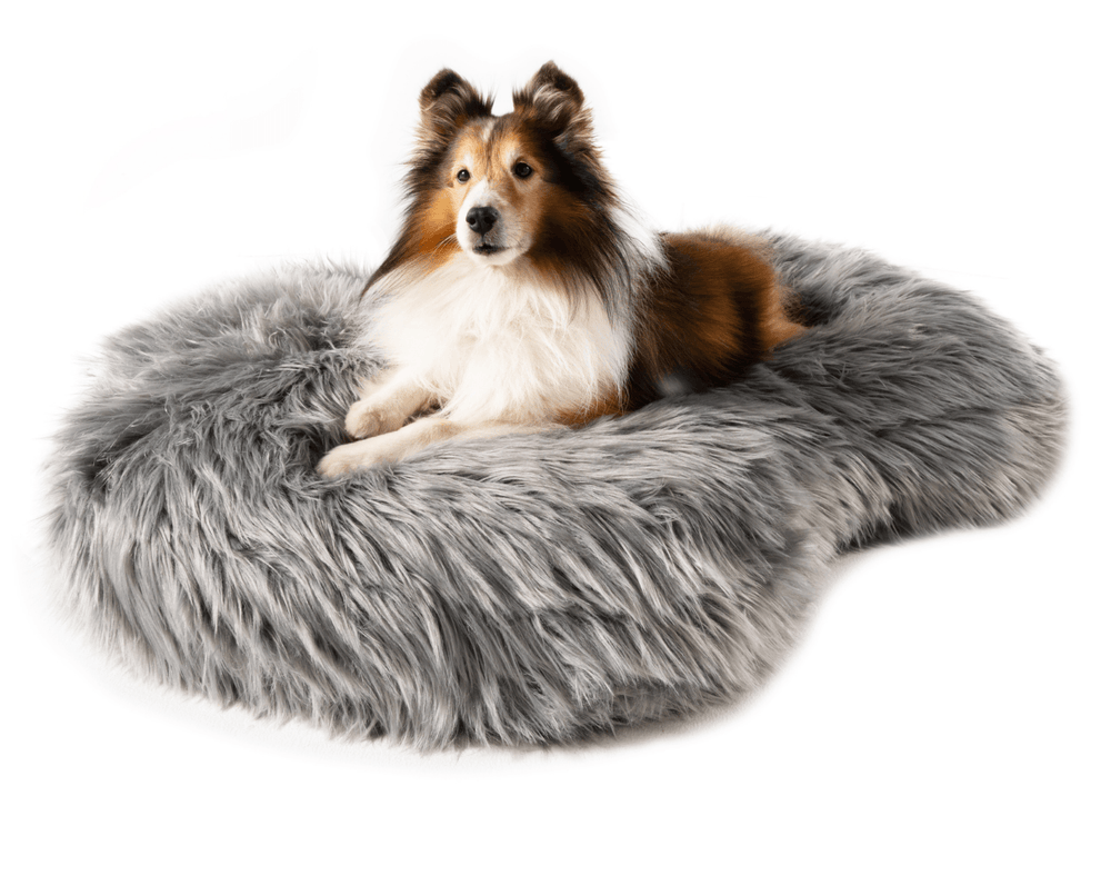 PupCloud™ Faux Fur Memory Foam Dog Bed - Curve Charcoal Grey