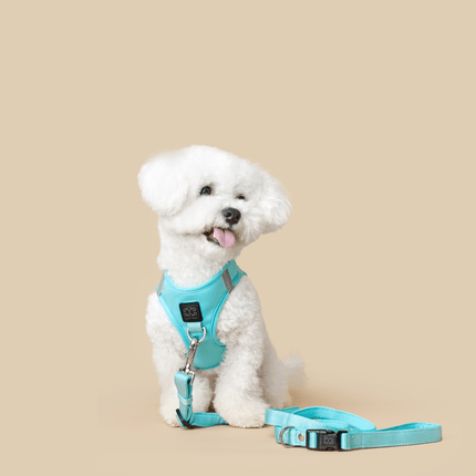 City Dog Leash - Fifth Avenue Blue