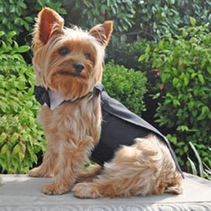 Wedding Tuxedo Black with Tails D-Ring and Bowtie Collar