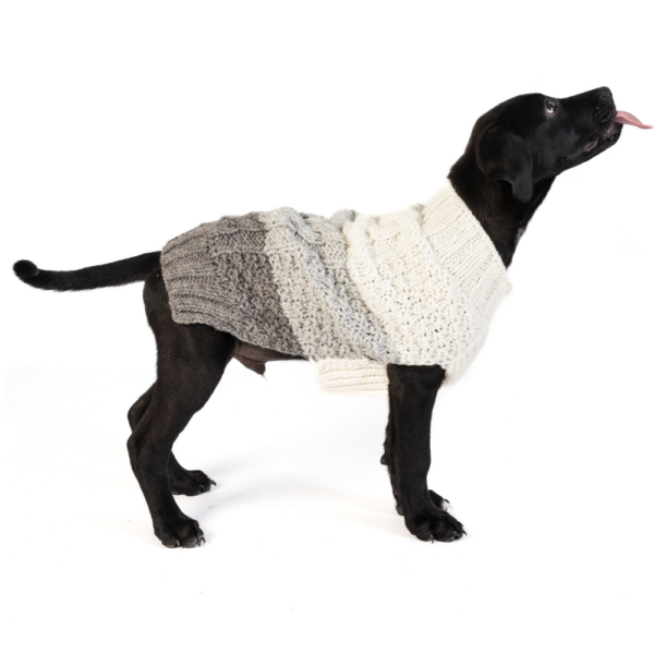 Color Block Cable Dog Sweater