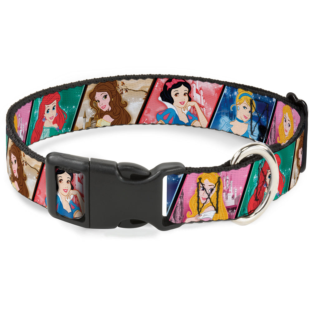 Disney Princess Pet Collar & Leash Set