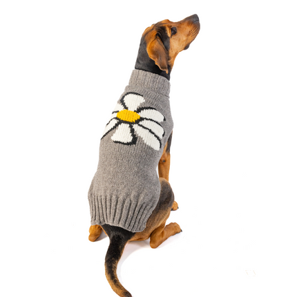 Big Daisy Dog Sweater